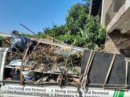 Best Demolition Debris Removal  in Chapman, KS